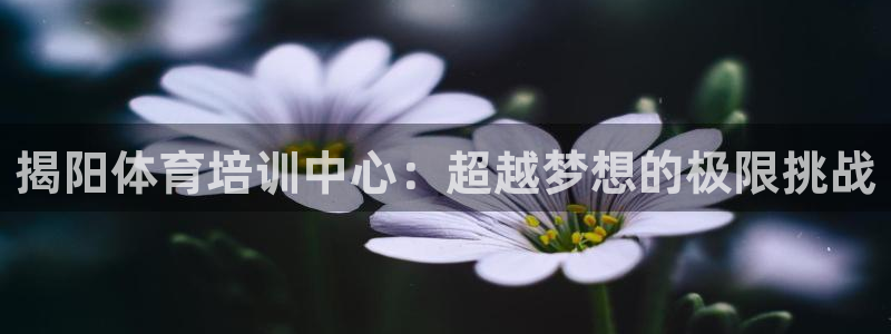 揭阳体育培训中心：超越梦想的极限挑战