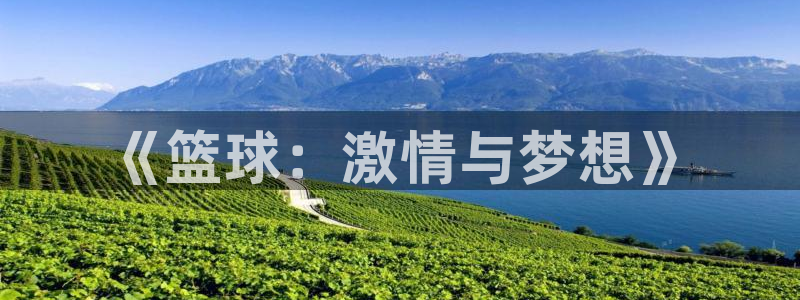 《篮球：激情与梦想》