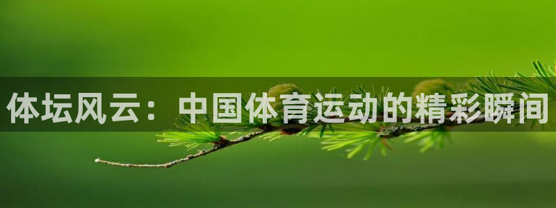 体坛风云：中国体育运动的精彩瞬间