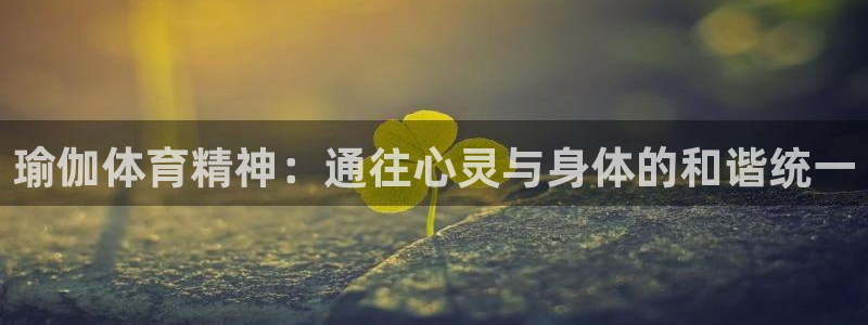 瑜伽体育精神：通往心灵与身体的和谐统一