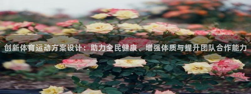 创新体育运动方案设计：助力全民健康、增强体质与提升团队合作能力